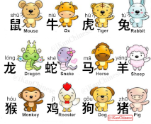 Chinese Zodiac